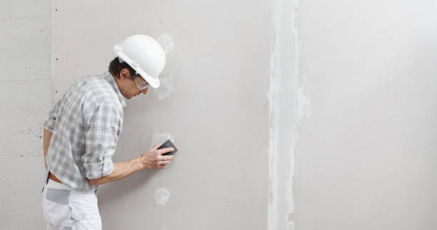 Best Drywall Sanding and Smoothing  in USA